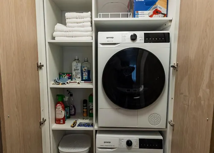 Apartman Filipe Riverside Temesvár